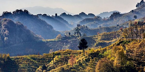 Farra di Soligo