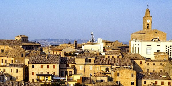 Corridonia