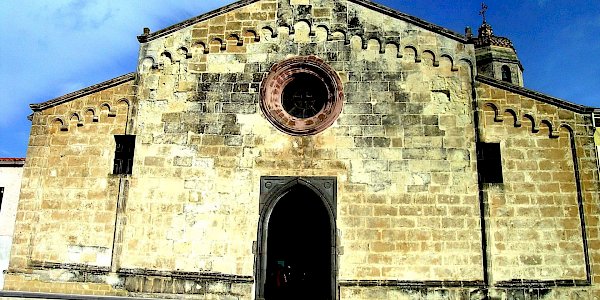 Narbolia