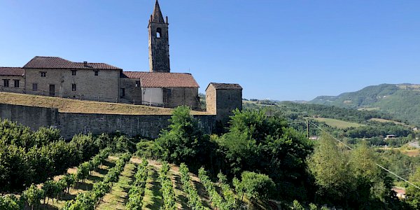 Bistagno