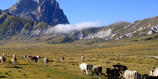 ABRUZZO