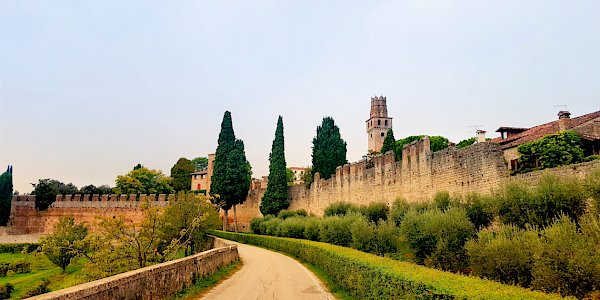 Conegliano