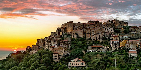 Pisciotta