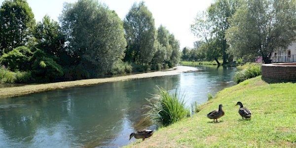 Fiume Veneto