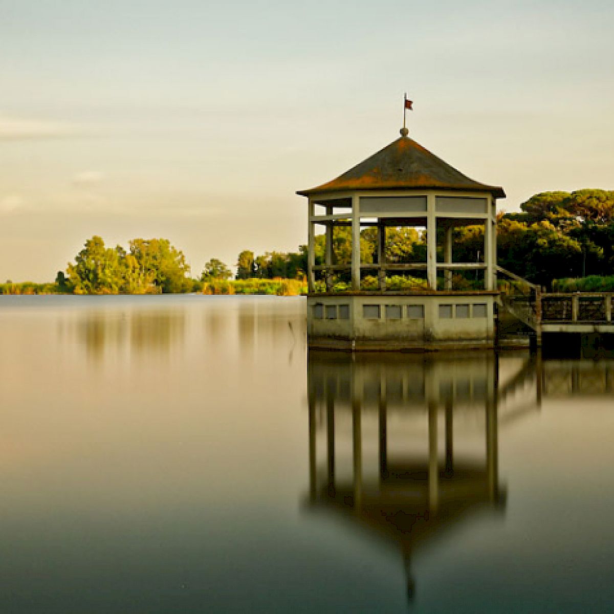 teste e lische torre del lago